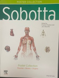 Atlas of Human Anatomy 17th edition (4 Volume):Sobotta Poster Collection