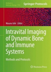 Intravital Imaging of dynamic bone and immune systems