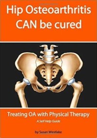 Physiotherapy in hip and knee osteoarthritis: evidence and daily practice